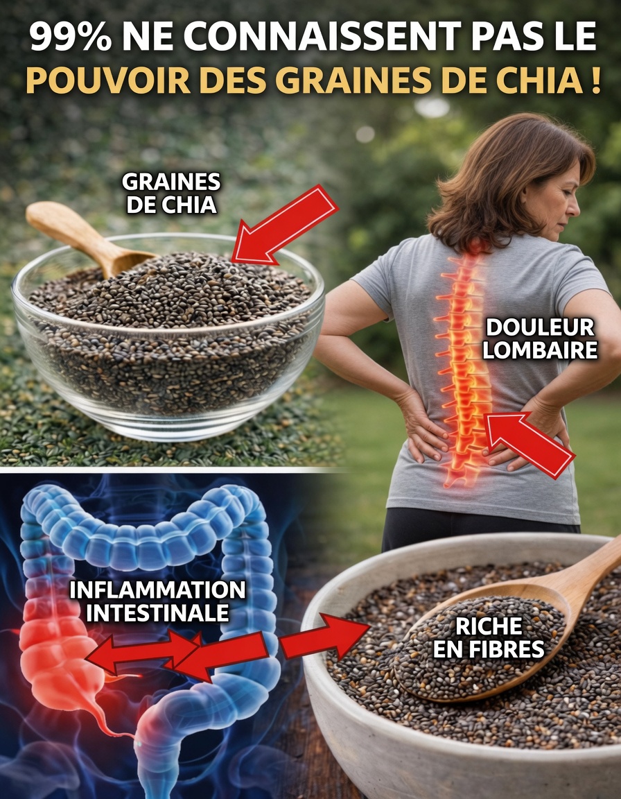 Ce qui arrive à votre corps lorsque vous mangez des graines de chia tous les jours : un guide naturel de bien-être