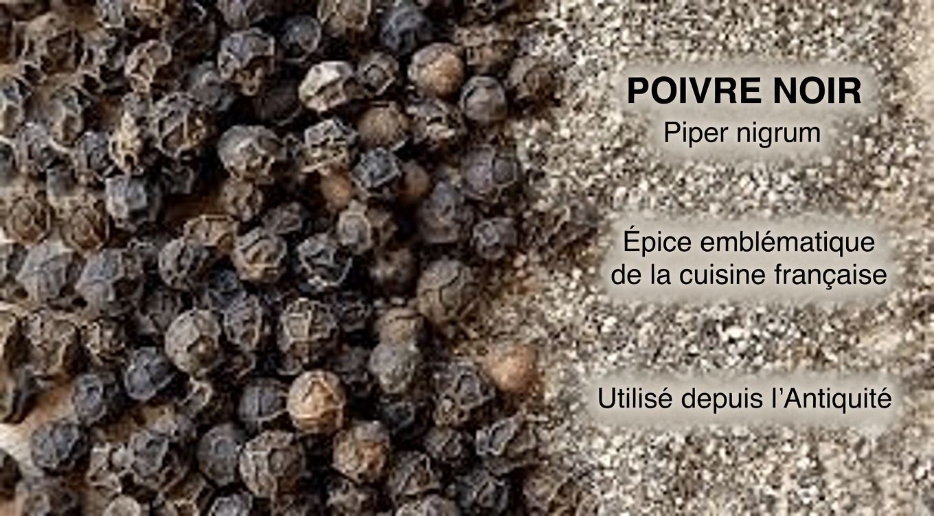 Le duo surprenant de votre cuisine : comment l’ail et le poivre noir peuvent aider à soulager les douleurs aux jambes, l’arthrite, le rhumatisme et les varices