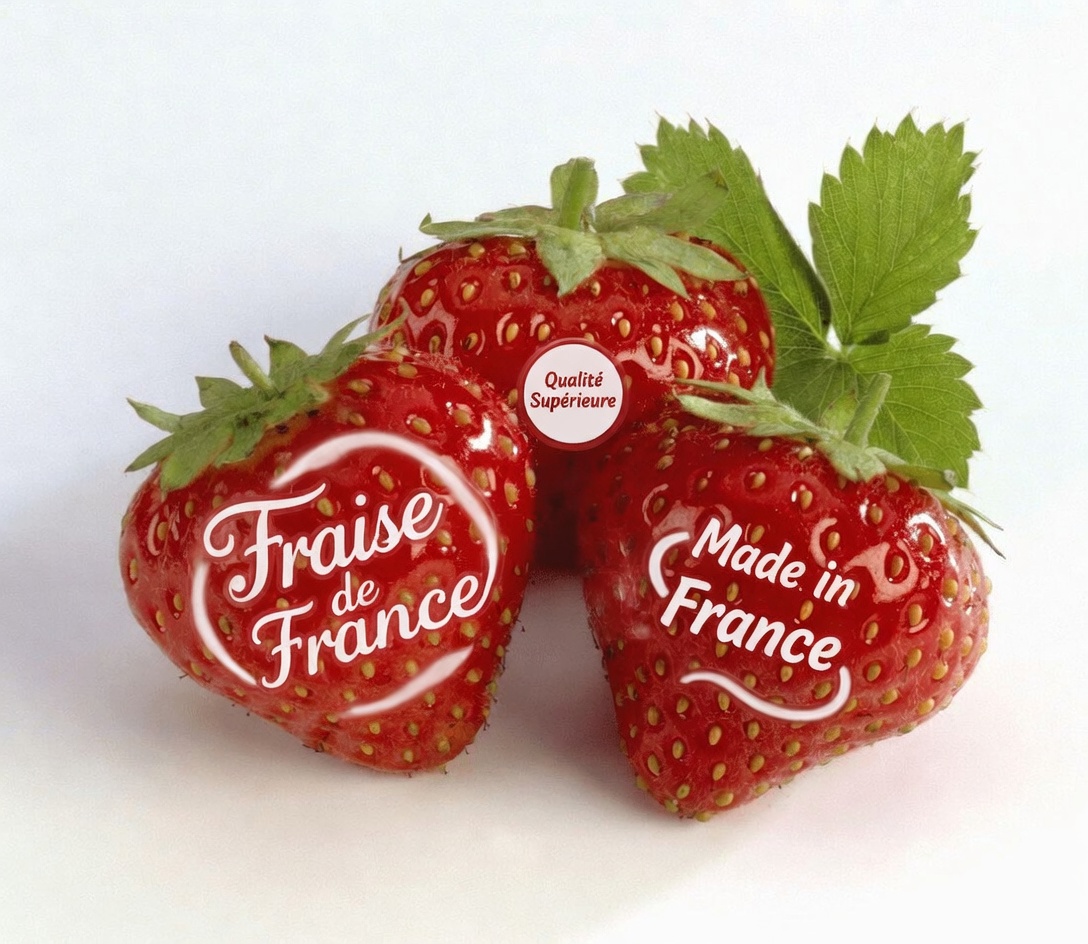 Les 8 meilleurs fruits pouvant aider à soutenir la régulation naturelle de la coagulation sanguine de votre organisme