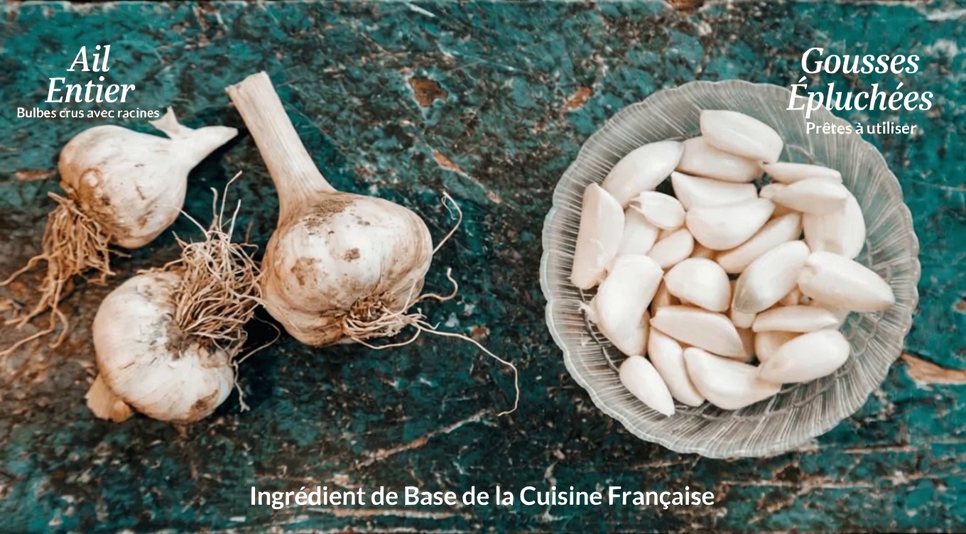 8 herbes puissantes qui aident à prévenir le cancer