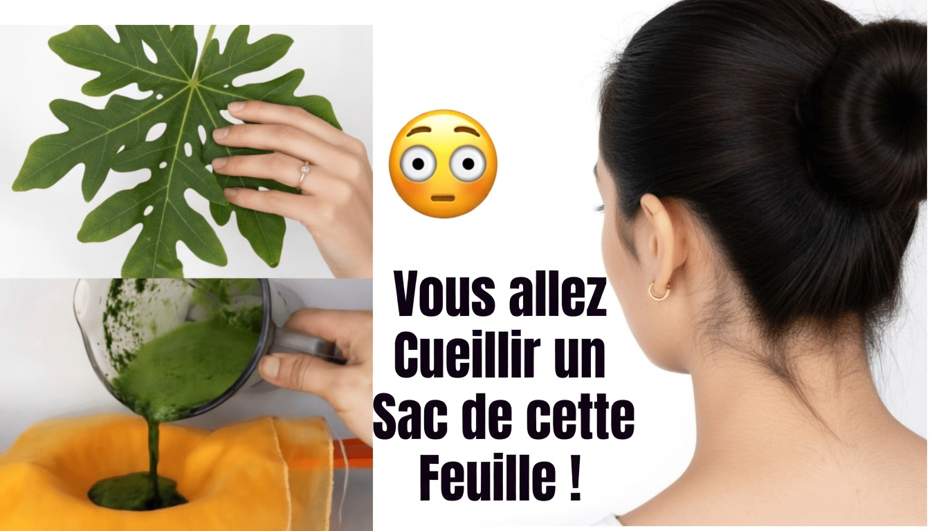 Comment utiliser les feuilles de papayer pendant la nuit pour des soins capillaires naturels : recettes et conseils pour des cheveux plus sains