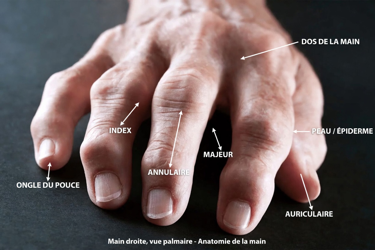 Quelles nouvelles avancées thérapeutiques sont disponibles pour les patients atteints de polyarthrite rhumatoïde en quête d’espoir de jours meilleurs à venir