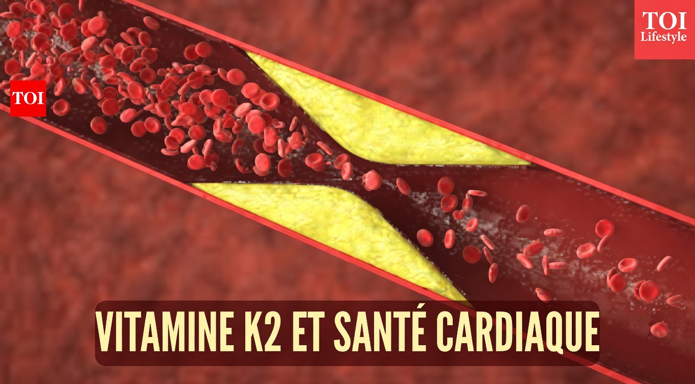 Une vitamine empêche l'accumulation de calcium dans les artères et le cœur