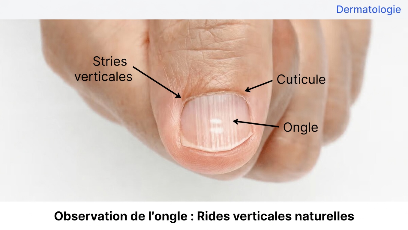 6 signaux d’alerte du corps après 40 ans à ne jamais ignorer