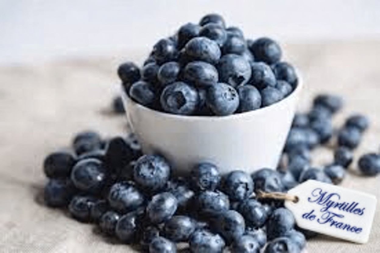 Découvrez les 10 superaliments incontournables pour soutenir naturellement la fonction rénale et aider à gérer la protéinurie