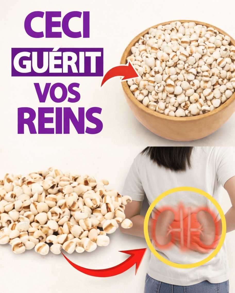 Découvrez les 3 céréales du quotidien qui peuvent favoriser la santé des reins et le processus naturel de détoxification