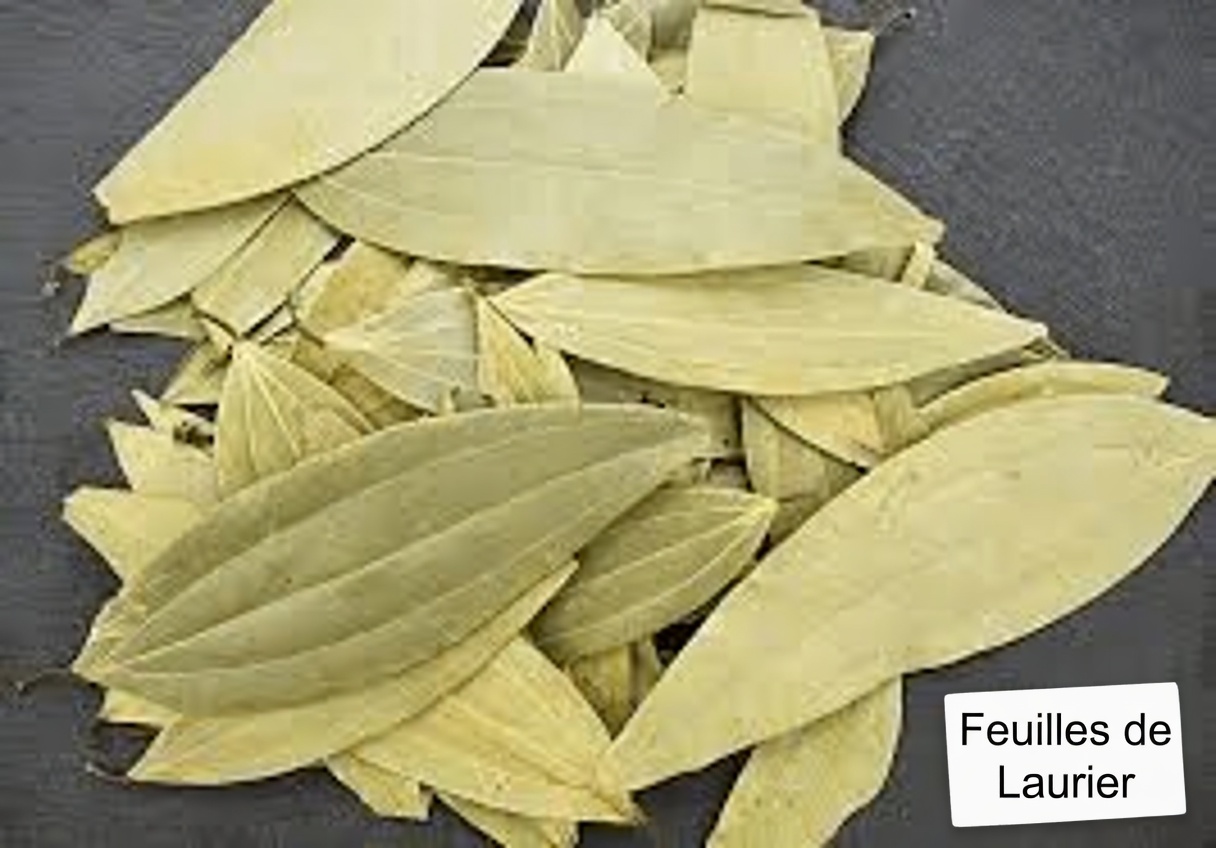 Les 4 feuilles puissantes qui peuvent aider le diabète, la prévention du cancer, le foie gras, la mauvaise circulation et l’hypertension artérielle