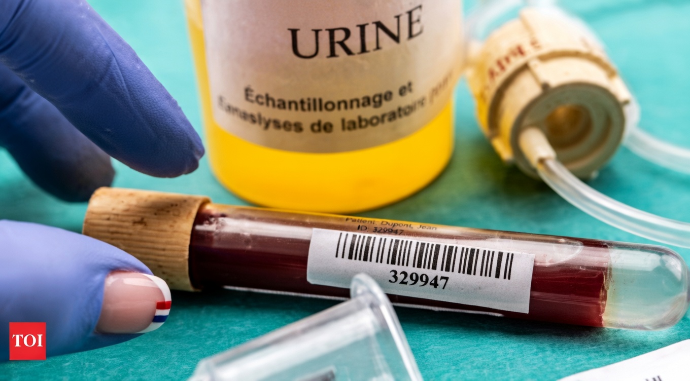 Top 10 signes avant-coureurs que votre corps vous envoie à propos de la protéinurie et des problèmes rénaux (n’ignorez surtout pas le n°1)