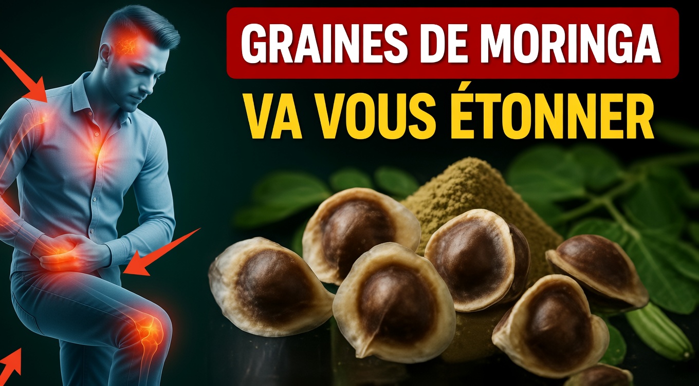 Déverrouillez le pouvoir caché des graines de moringa : 12 bienfaits qui changent la vie et que la science commence enfin à confirmer