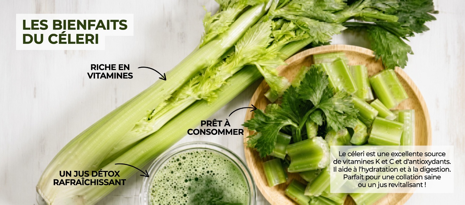 La plante unique qui peut purifier votre sang, décupler votre énergie et rajeunir votre peau de 10 ans