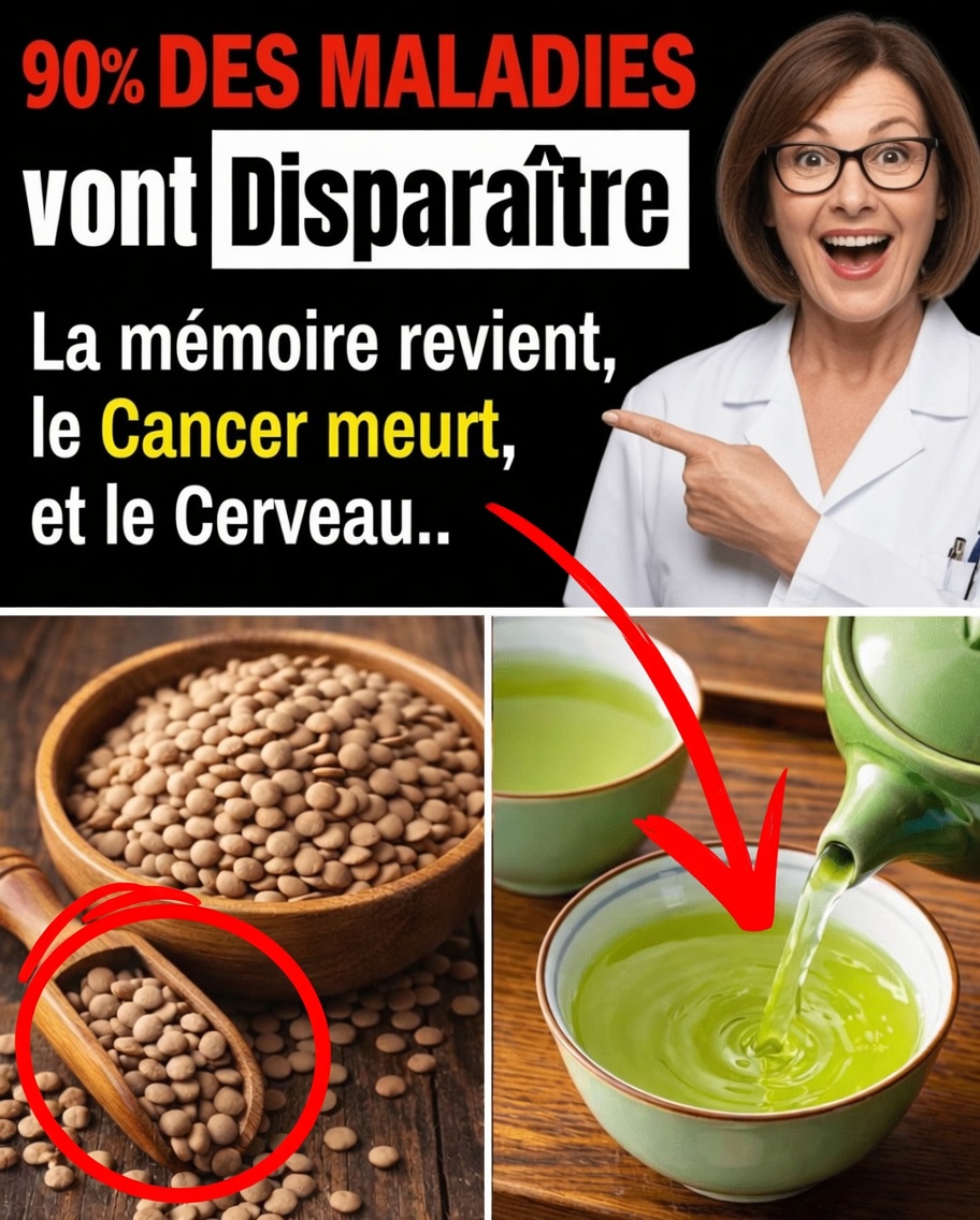 La science récompensée par le prix Nobel révèle : mangez ces aliments chaque jour pour ralentir le vieillissement et vivre plus longtemps
