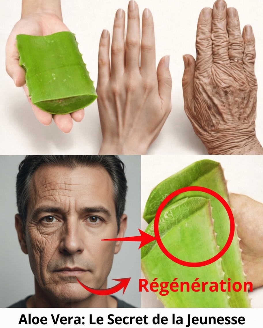 Découvrez cette astuce japonaise simple et douce à base d’aloe vera pour soutenir l’hydratation de votre peau mature après 70 ans
