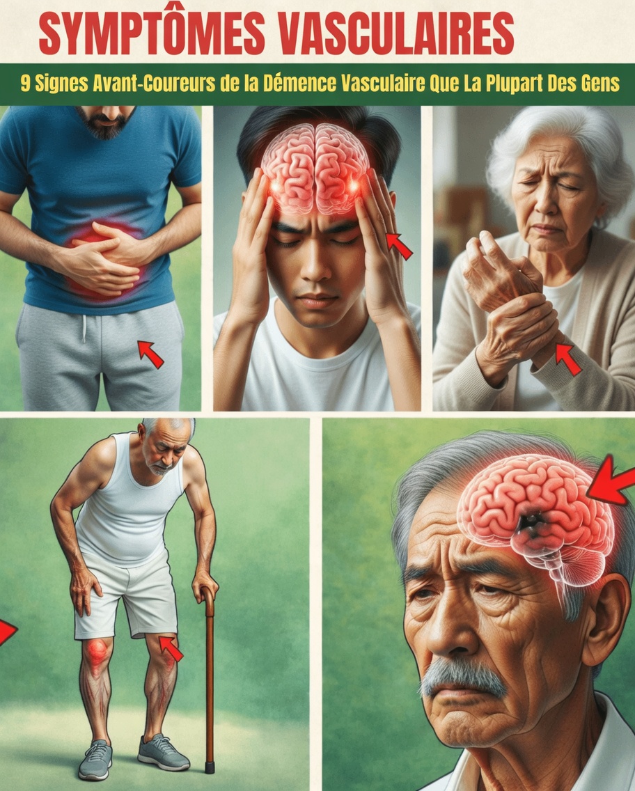 Signes précoces de démence vasculaire (la plupart des gens manquent le n°3) – Ce que votre cerveau vous dit en silence avant qu’il ne soit trop tard