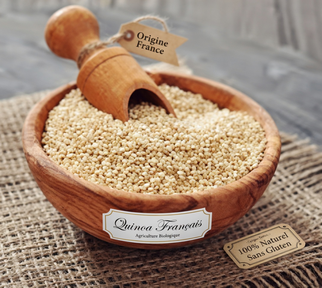 Taux de créatinine élevés ? 3 protéines à privilégier et 3 à éviter pour une meilleure santé des reins