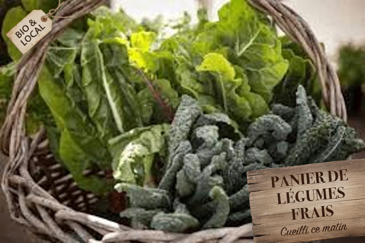 Plus de 60 ans ? Mangez CECI avant de vous coucher et réveillez-vous avec une vue plus nette – Le rituel nocturne dont les ophtalmologues parlent enfin