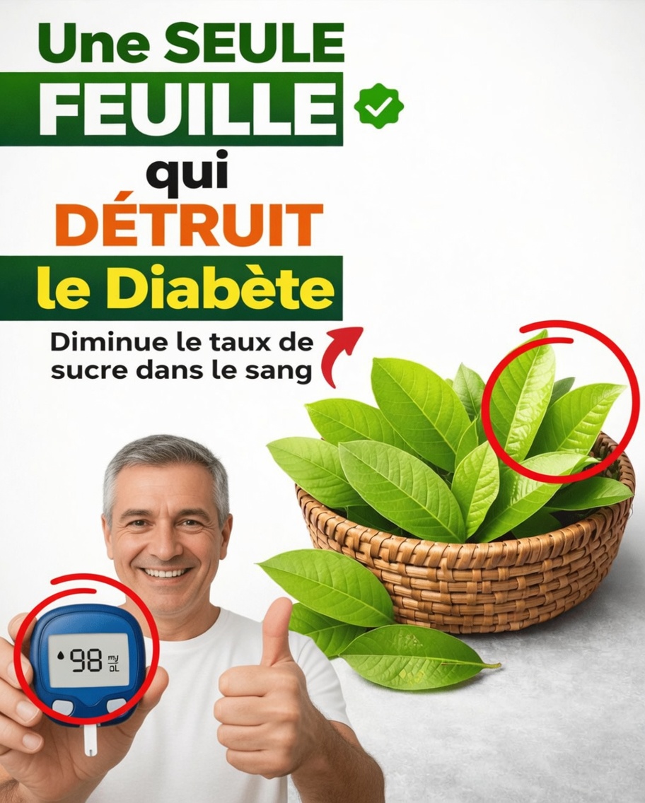Libérez la puissance de cette feuille : une alliée naturelle contre le diabète et le mauvais cholestérol