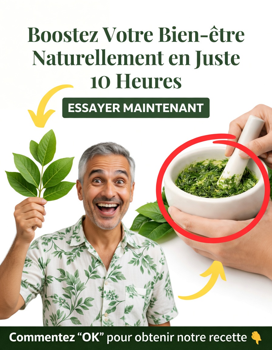 La feuille puissante dont tout le monde parle — ce que disent vraiment les recherches