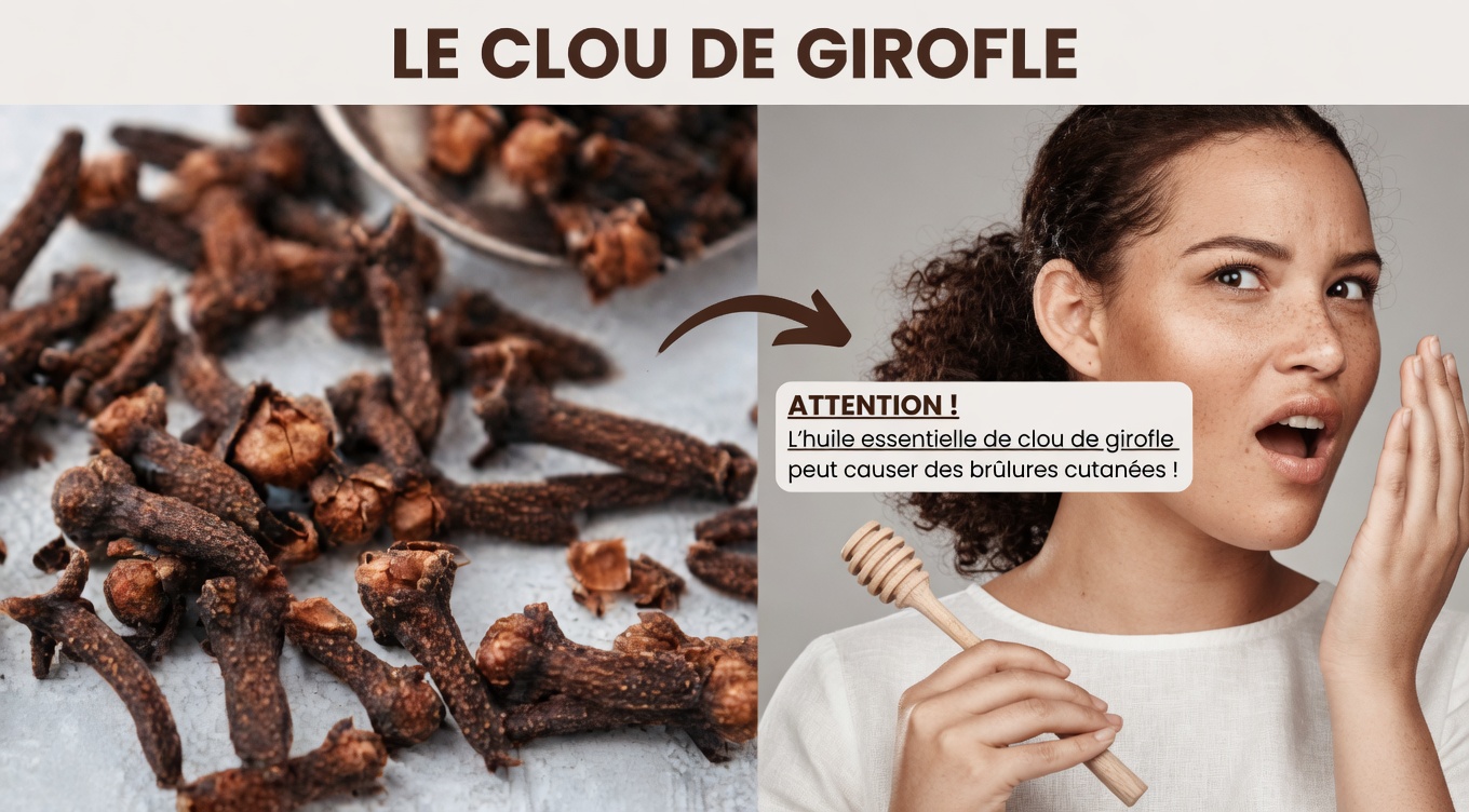 Pourquoi le Dr Sebi adorait les clous de girofle : le secret ultime de santé pour les seniors