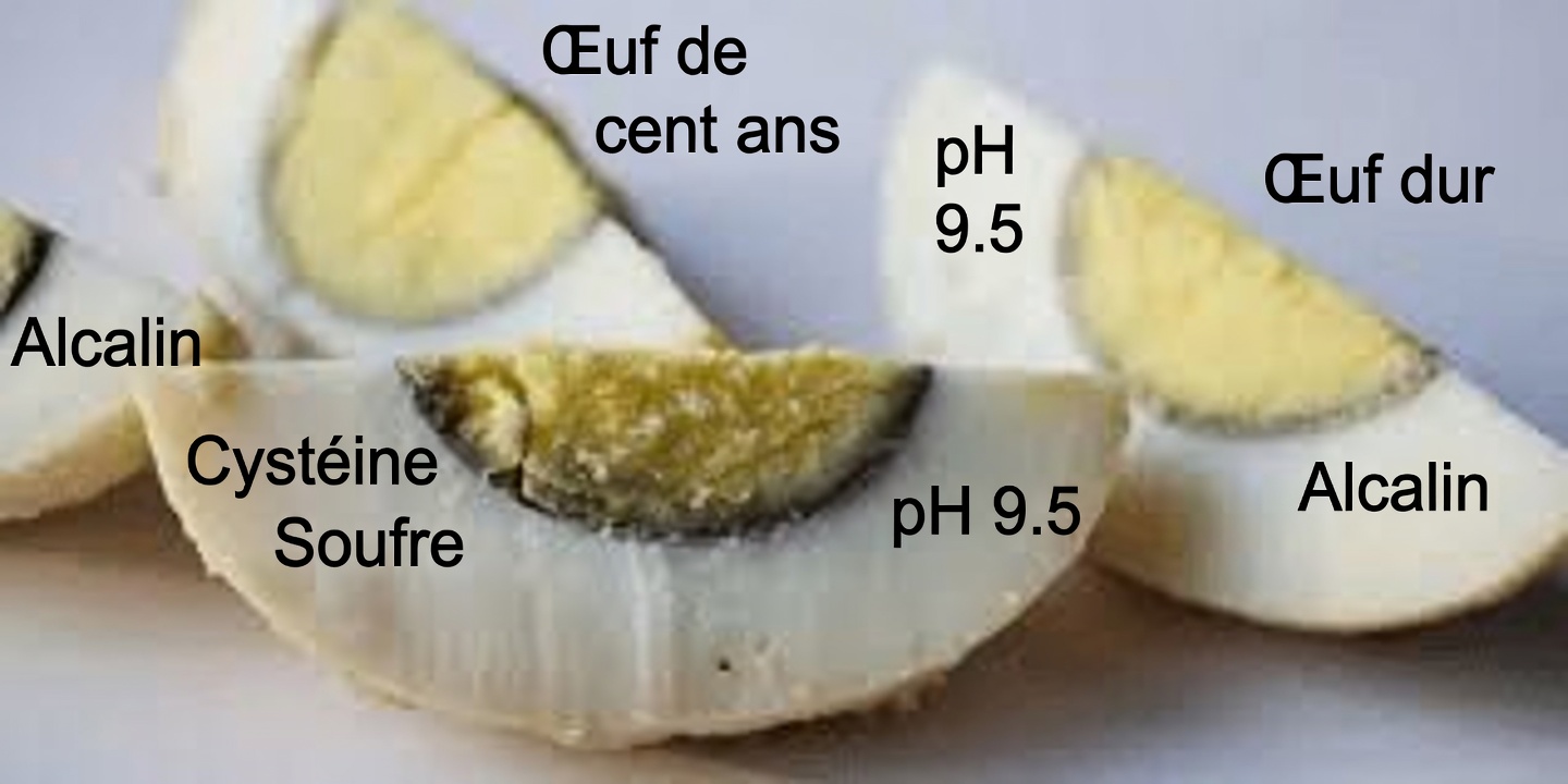 Pourquoi les œufs durs ont-ils un anneau vert autour du jaune ? Explication scientifique et conseils simples pour l’éviter
