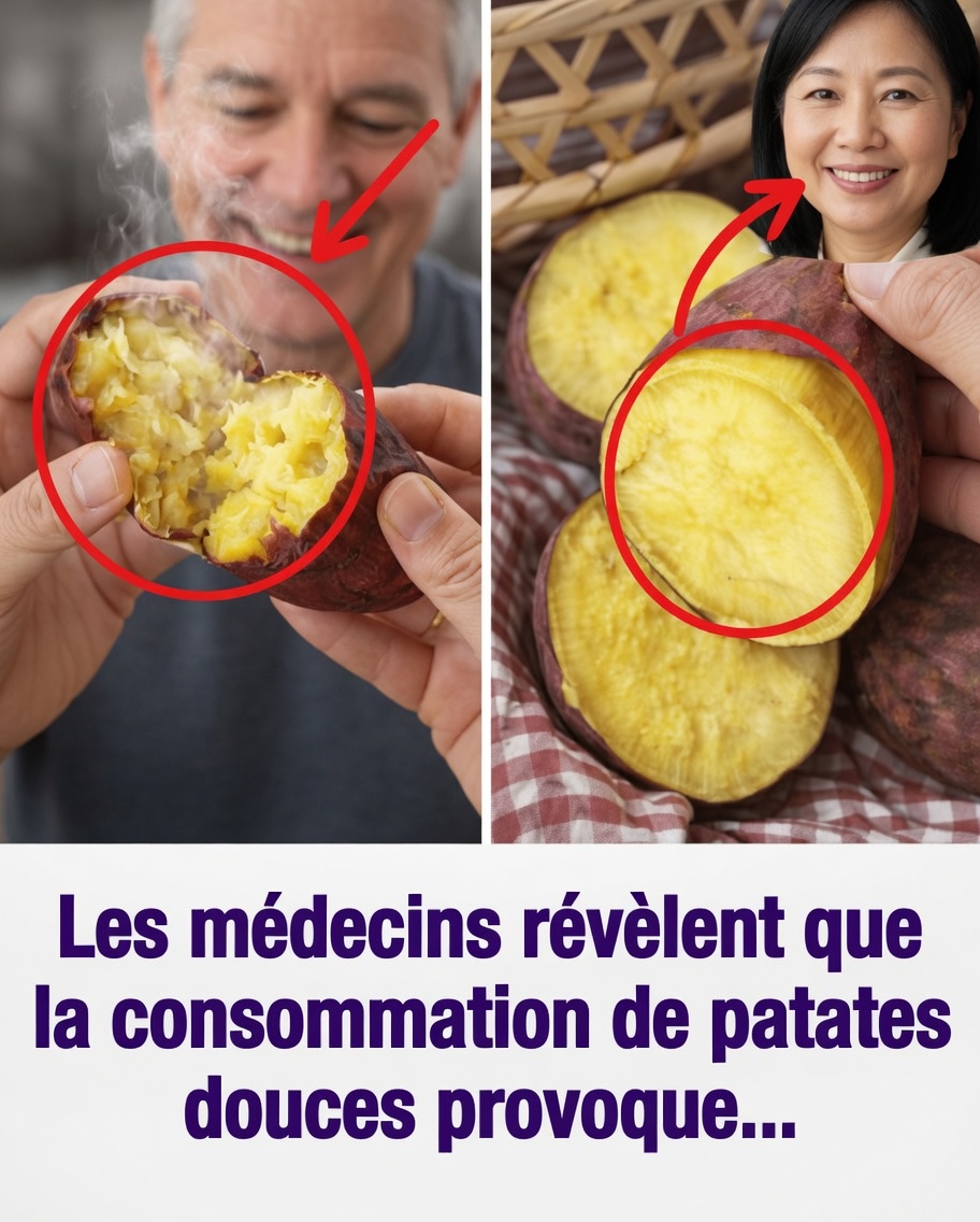 10 bienfaits pour la santé d’intégrer la patate douce à votre alimentation quotidienne