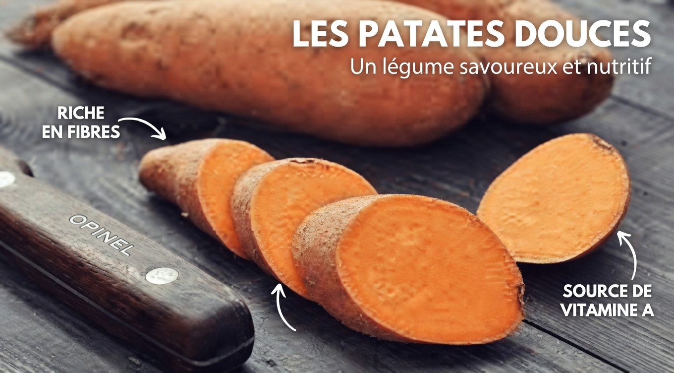 10 bienfaits pour la santé d’intégrer la patate douce à votre alimentation quotidienne