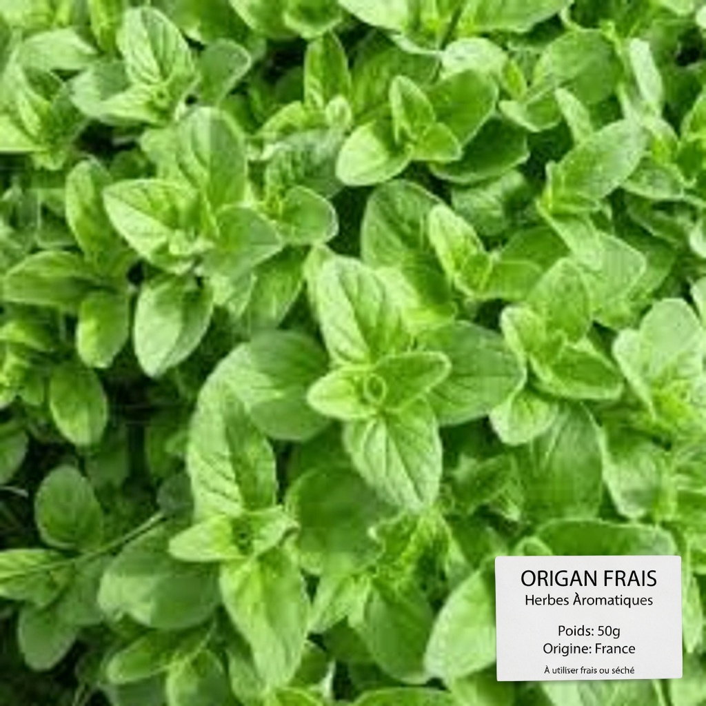 Vous vous sentez constamment fatigué après 50 ans ? 10 aliments qui peuvent favoriser la protection cellulaire selon un oncologue