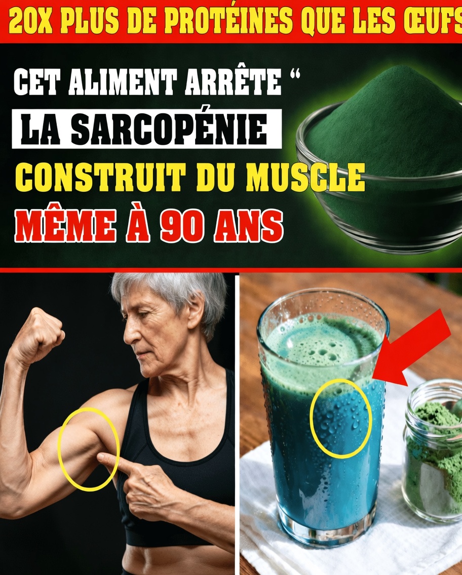 Seniors : développez votre masse musculaire après 70 ans grâce à ces 4 protéines végétales (et l’astuce simple de timing qui les rend efficaces)