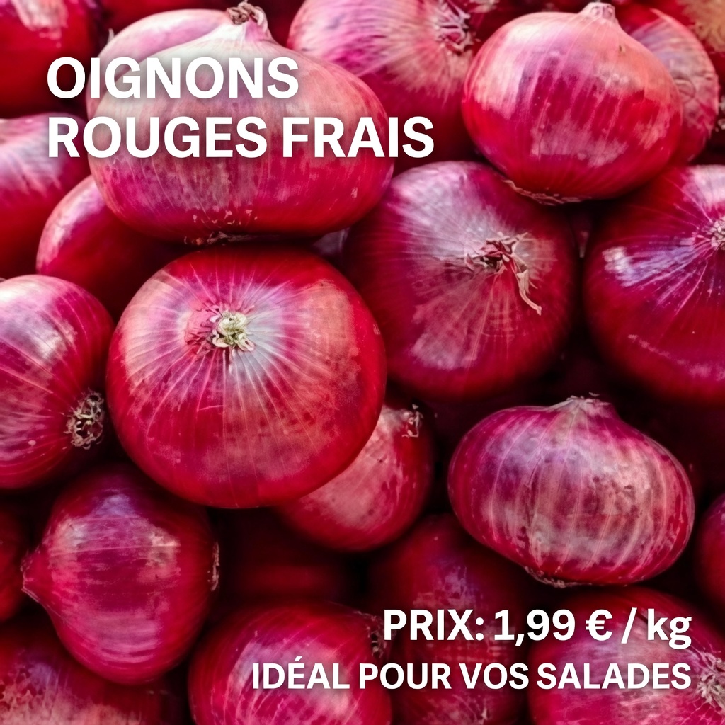 La vérité méconnue : les oignons rouges aident à réguler la glycémie – un secret simple pour les personnes de plus de 40 ans !