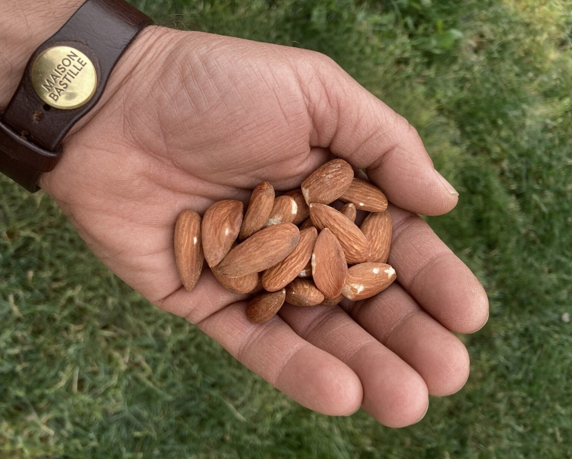 Top 5 des aliments riches en magnésium pour aider à réduire les crampes aux jambes chez les seniors : un soulagement notable en seulement 7 jours