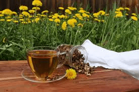 Les 8 meilleures tisanes diurétiques pour aider à réduire naturellement les gonflements et la rétention d’eau