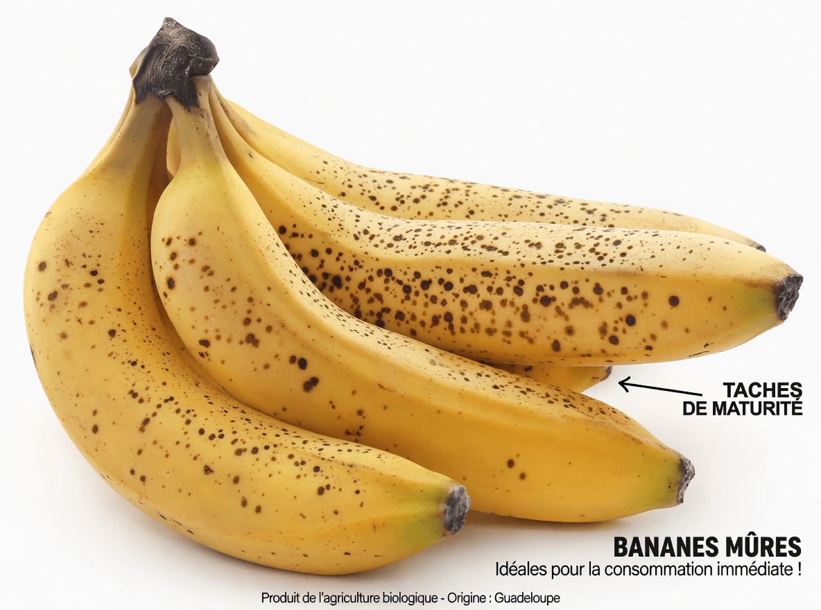 9 fruits du quotidien qui peuvent soutenir naturellement la santé de la thyroïde – des choix riches en nutriments pour nourrir votre thyroïde