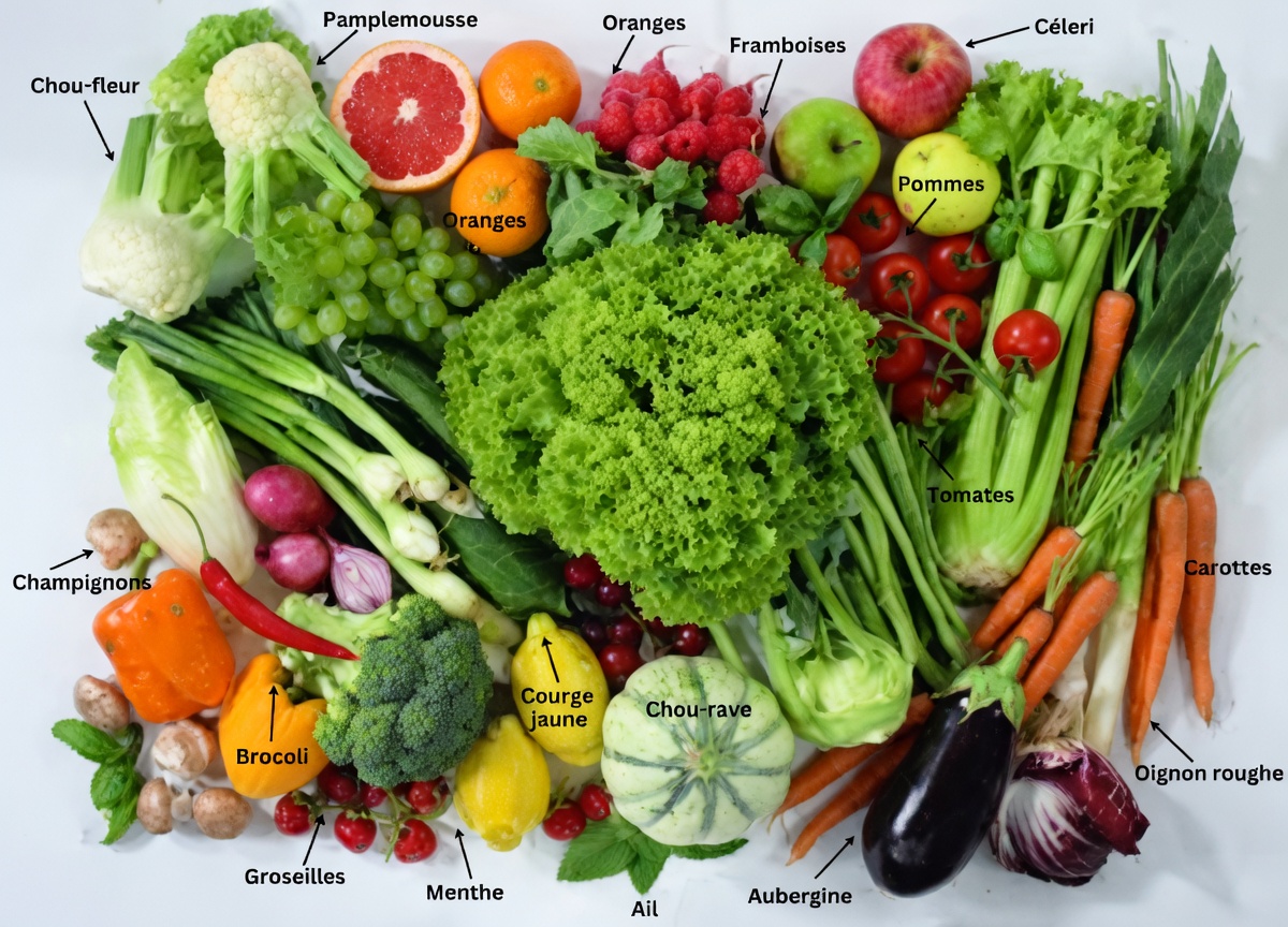 Quels légumes pourrait-il être préférable d’éviter après 40 ans pour améliorer le confort digestif et les niveaux d’énergie ?