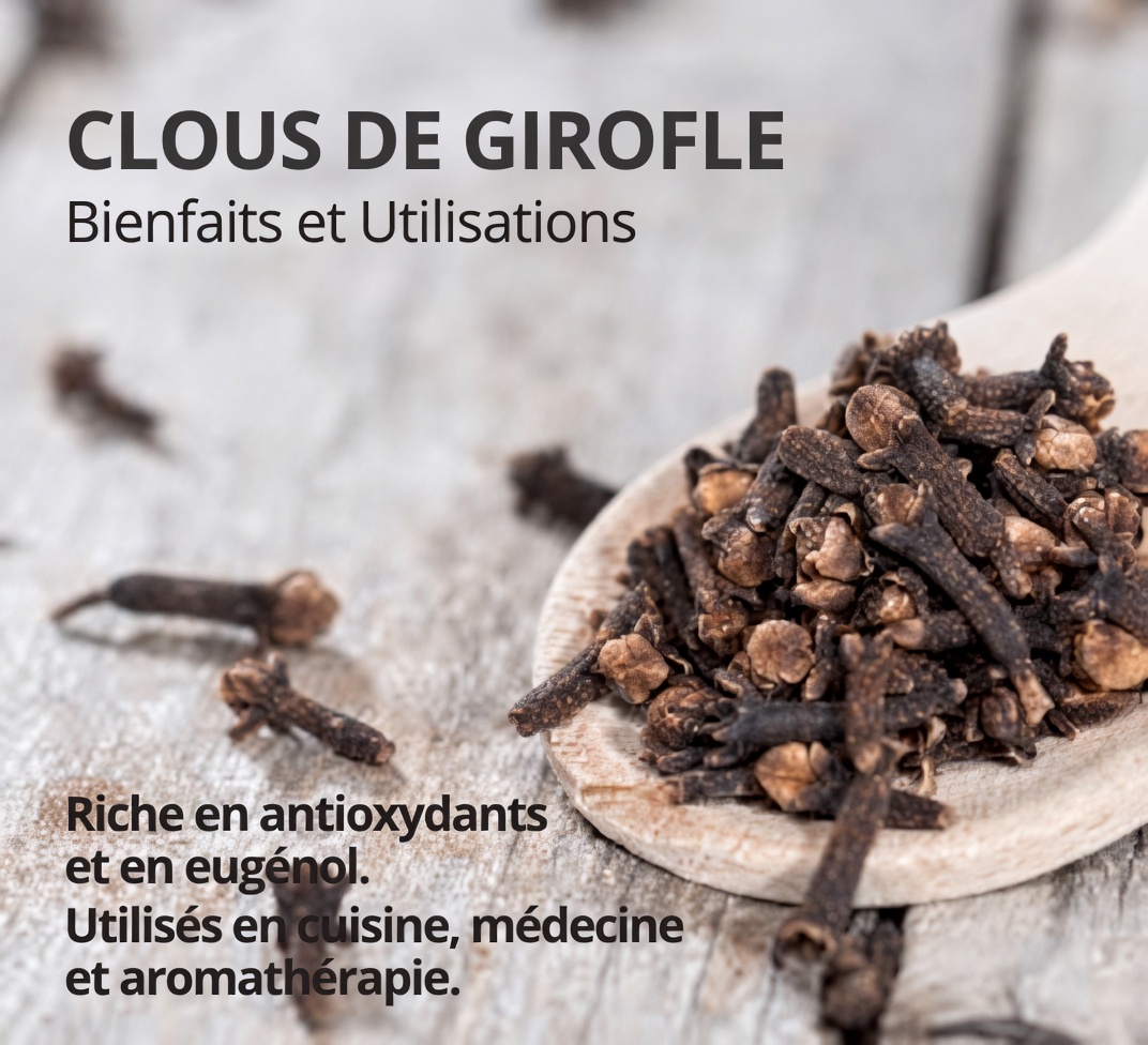 Que se passe-t-il lorsque vous mangez 2 gousses d’ail par jour ? 12 bienfaits potentiels pour le bien-être des adultes de plus de 50 ans
