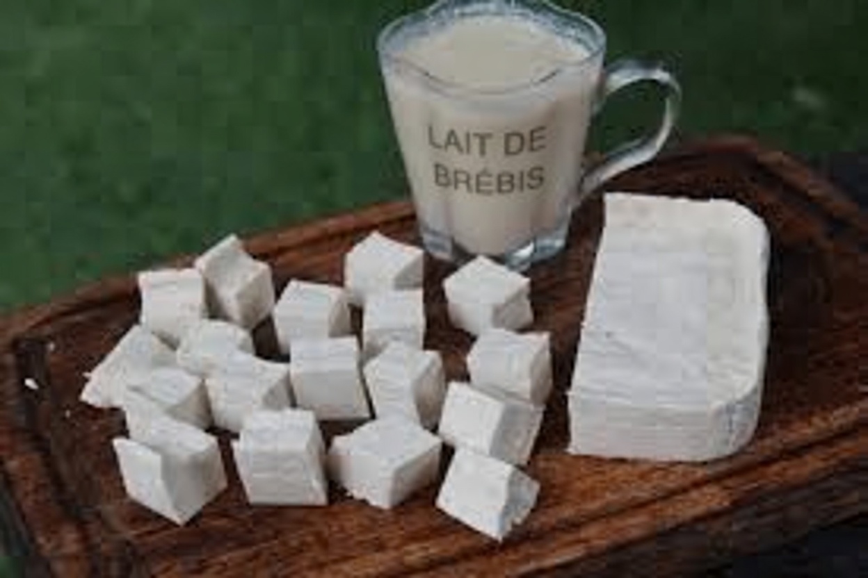 Seniors souffrant de problèmes rénaux : 6 protéines à limiter et 4 alternatives plus sûres pour votre alimentation