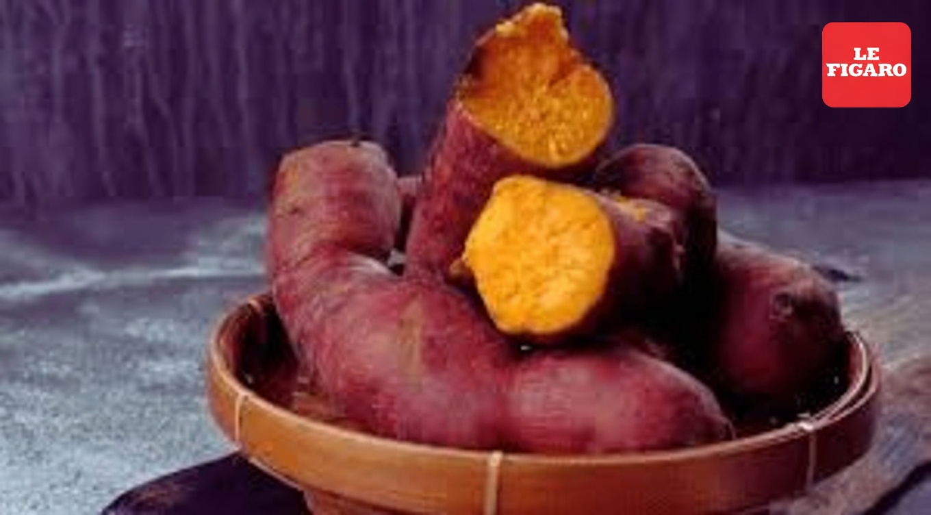 L’aliment du quotidien n°1 qui pourrait aider à protéger le cartilage de votre genou (validé par des experts et des recherches)