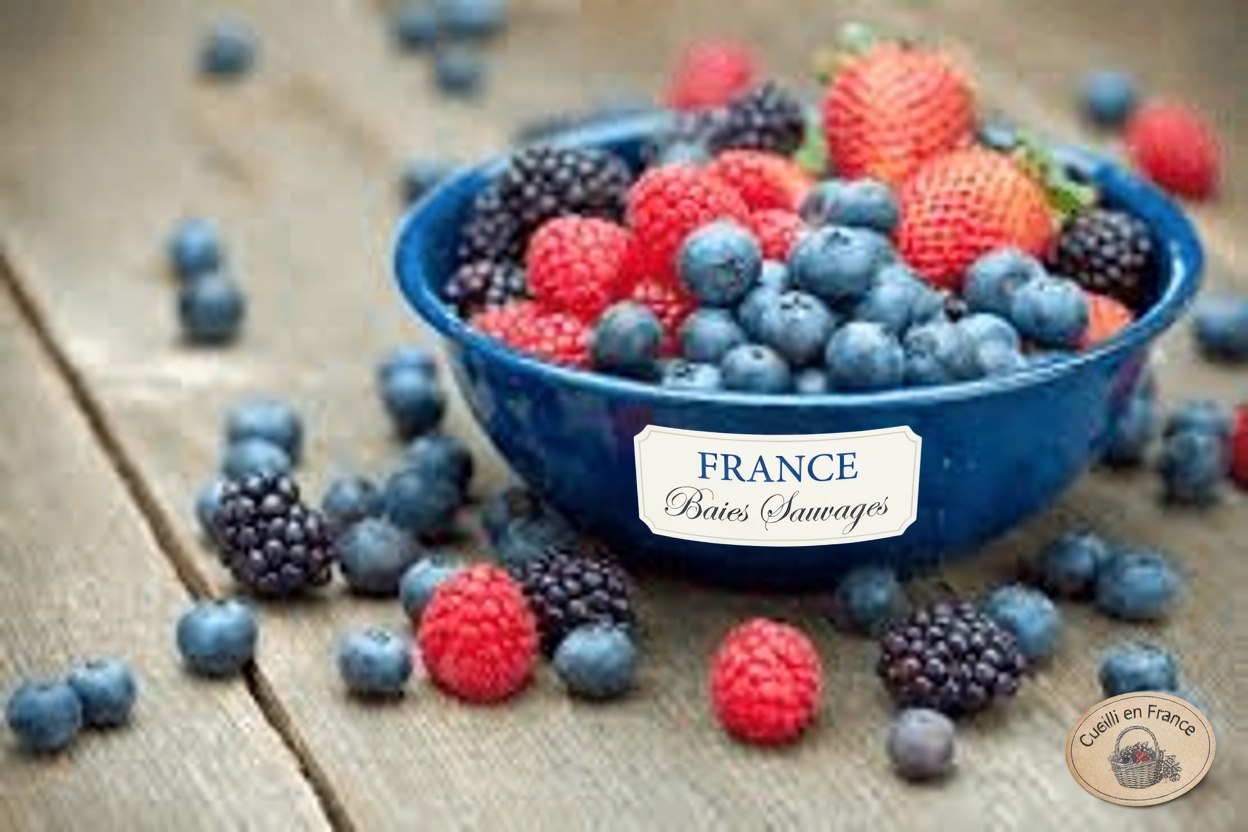 L’aliment du quotidien n°1 qui pourrait aider à protéger le cartilage de votre genou (validé par des experts et des recherches)