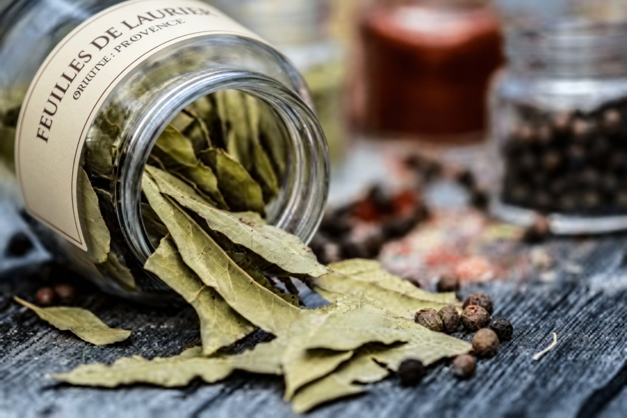 1 feuille qui fait baisser la glycémie, fait fondre la graisse et nettoie les artères RAPIDEMENT – la science choquante derrière le concentré de puissance caché de la nature