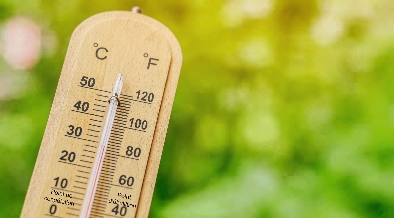 Personnes âgées : repérez la septicémie avant qu’il ne soit trop tard – 5 signes d’alerte que vous pourriez ignorer au quotidien