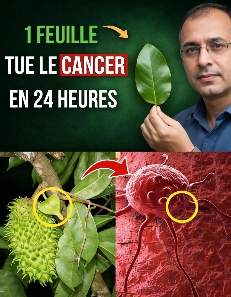 Révélé : la feuille cachée qui pourrait changer la lutte contre le cancer