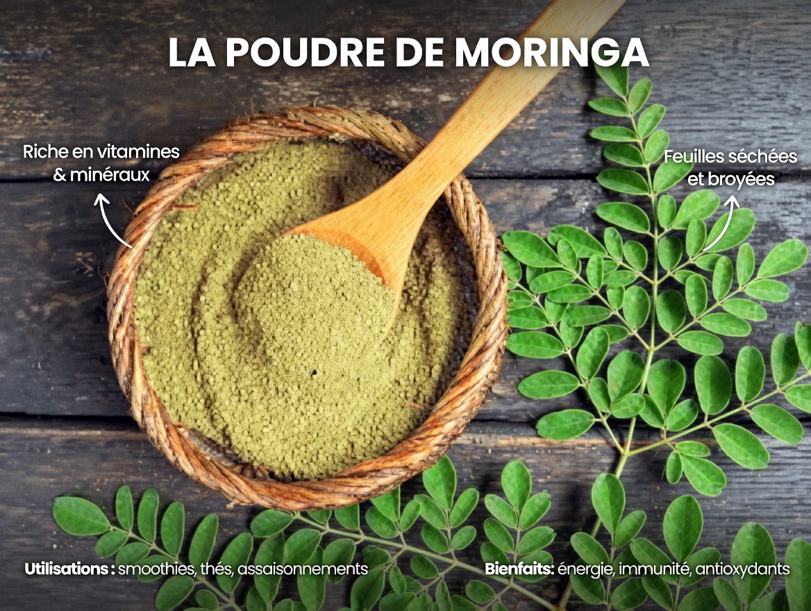 Révélé : la feuille cachée qui pourrait changer la lutte contre le cancer