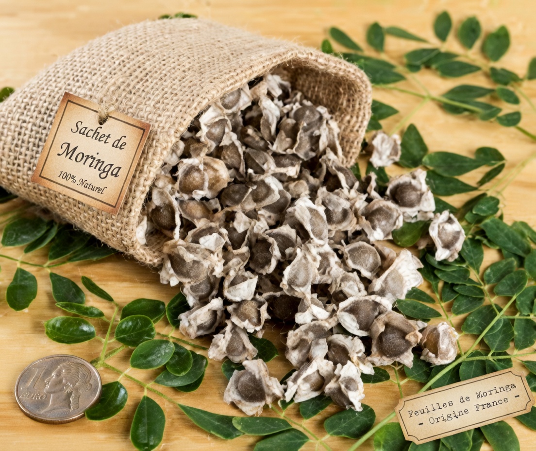 12 bienfaits des graines de moringa dont votre médecin ne vous parlera jamais (mais que vous devriez connaître)
