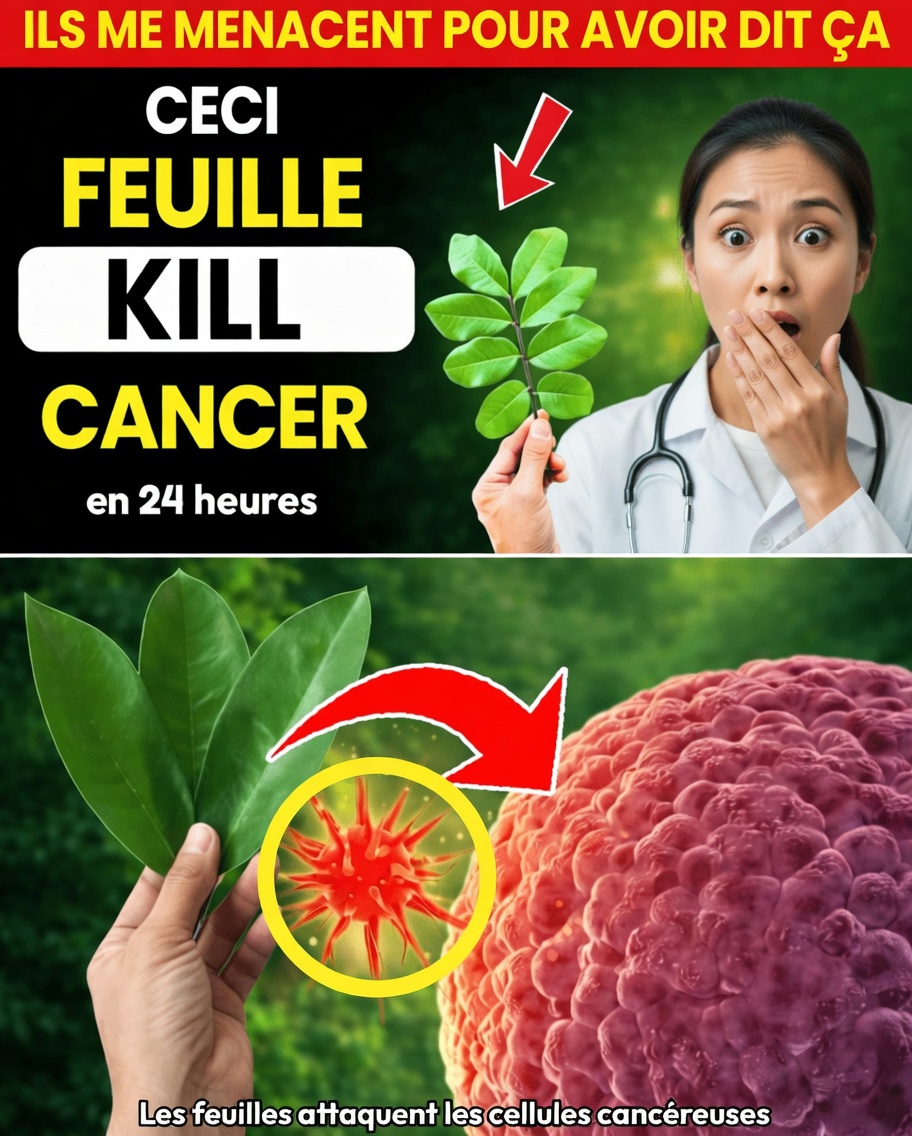 Les médecins ne vous parleront pas de cette feuille qui DÉTRUIT le CANCER (À ne pas manquer)