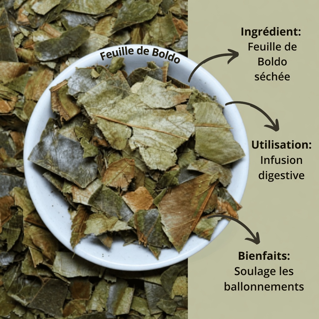 Les médecins ne vous parleront pas de cette feuille qui DÉTRUIT le CANCER (À ne pas manquer)