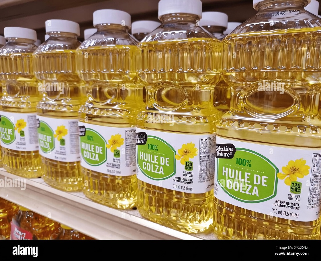 5 aliments du quotidien qui nourrissent les cellules cancéreuses comme de l’essence (éliminez-les et regardez le risque chuter jusqu’à 40 %)