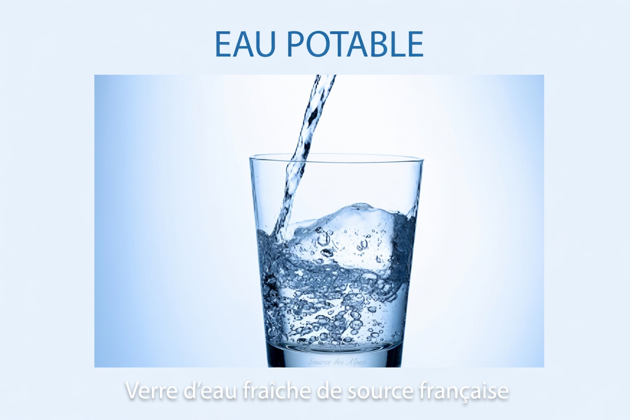 Découvrez 5 boissons simples du quotidien pour soutenir la santé rénale et aider à gérer les préoccupations liées à la protéinurie en 7 jours