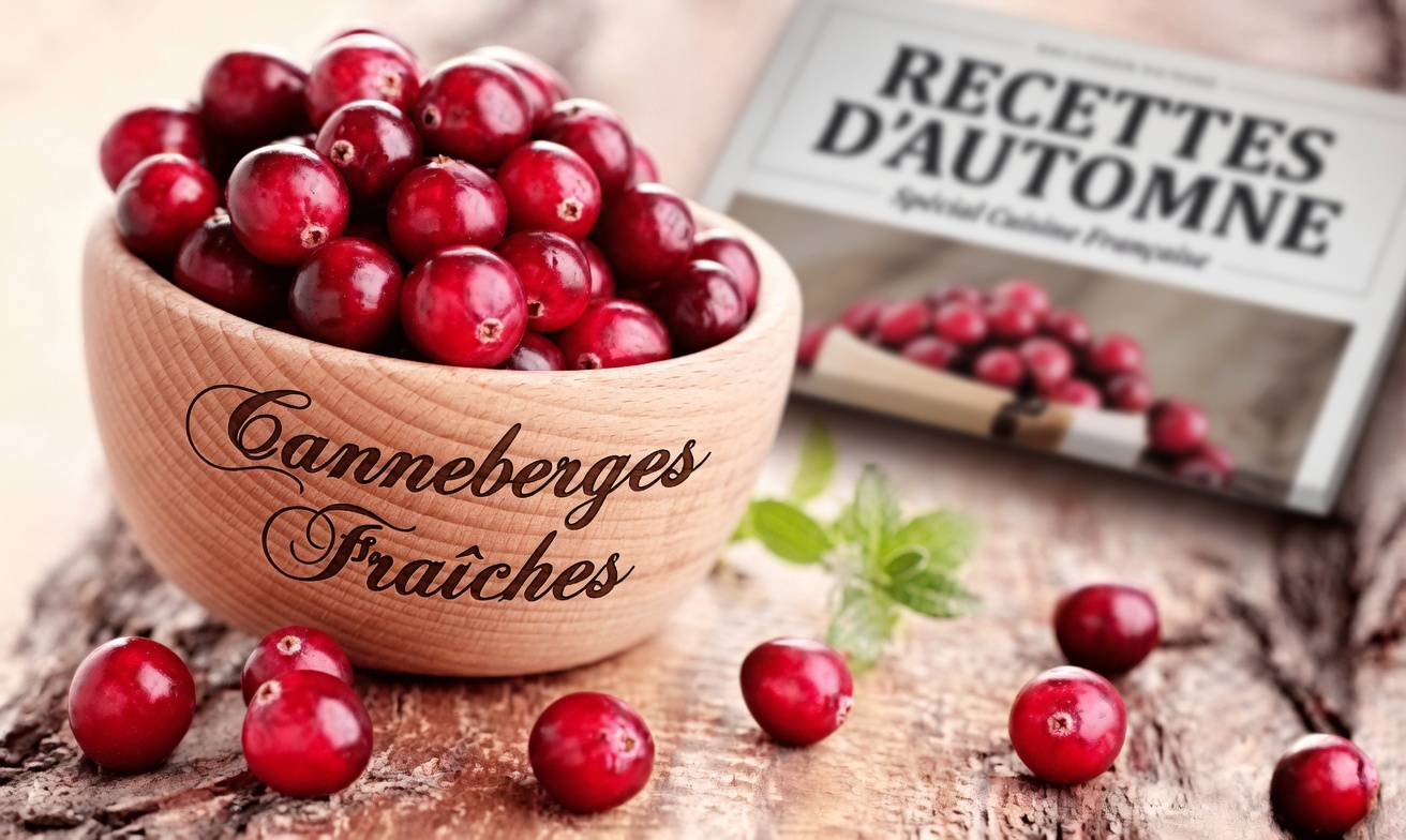 2 superaliments bénéfiques pour les reins qui pourraient aider à soutenir naturellement la créatinine et le DFG