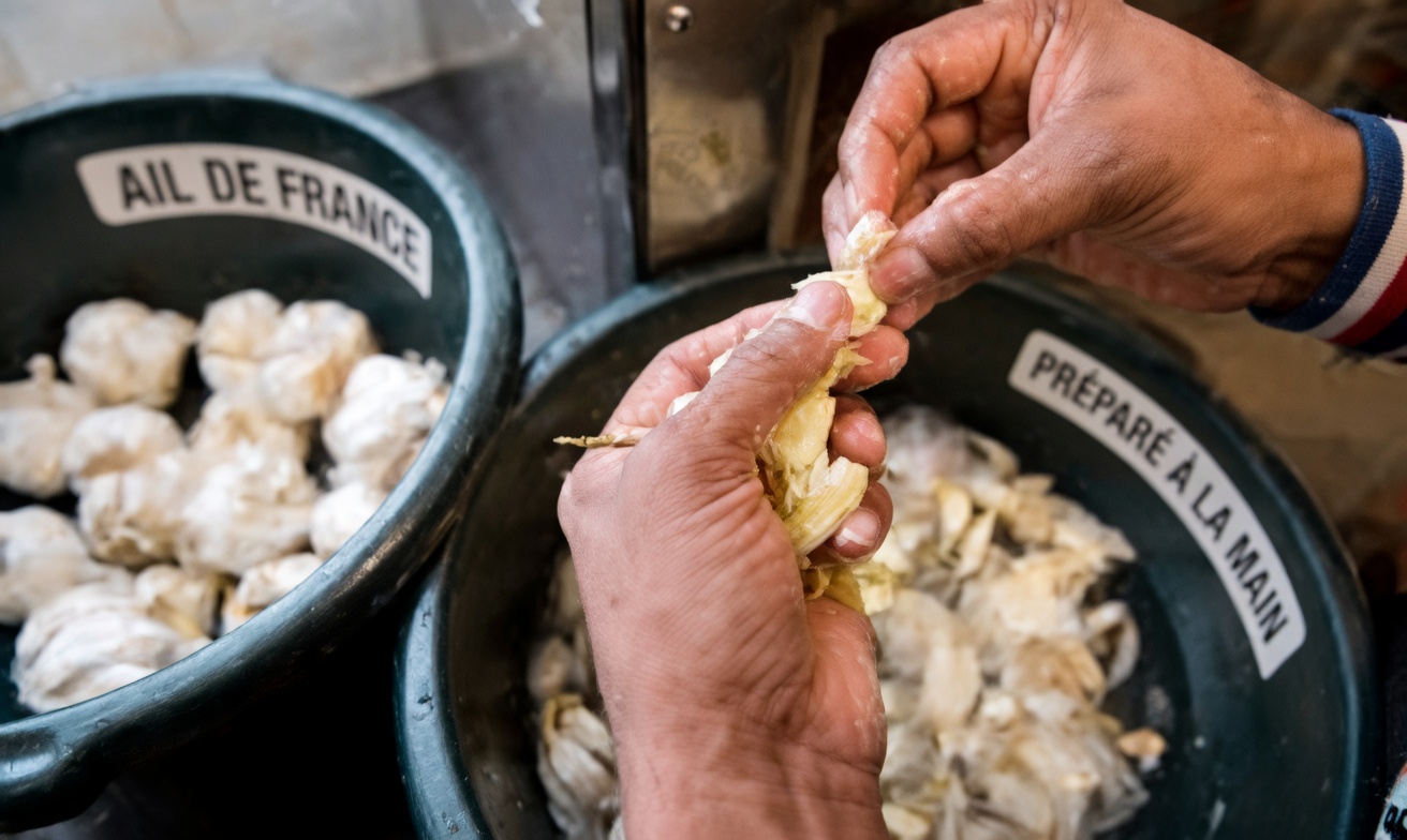 Révélé !!! Quelle quantité d’ail cru et comment le consommer