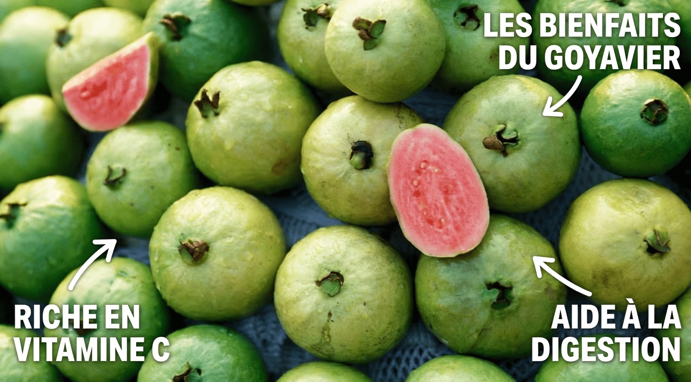 Découvrez le potentiel de la goyave pour la santé oculaire : des moyens naturels de soutenir votre vision