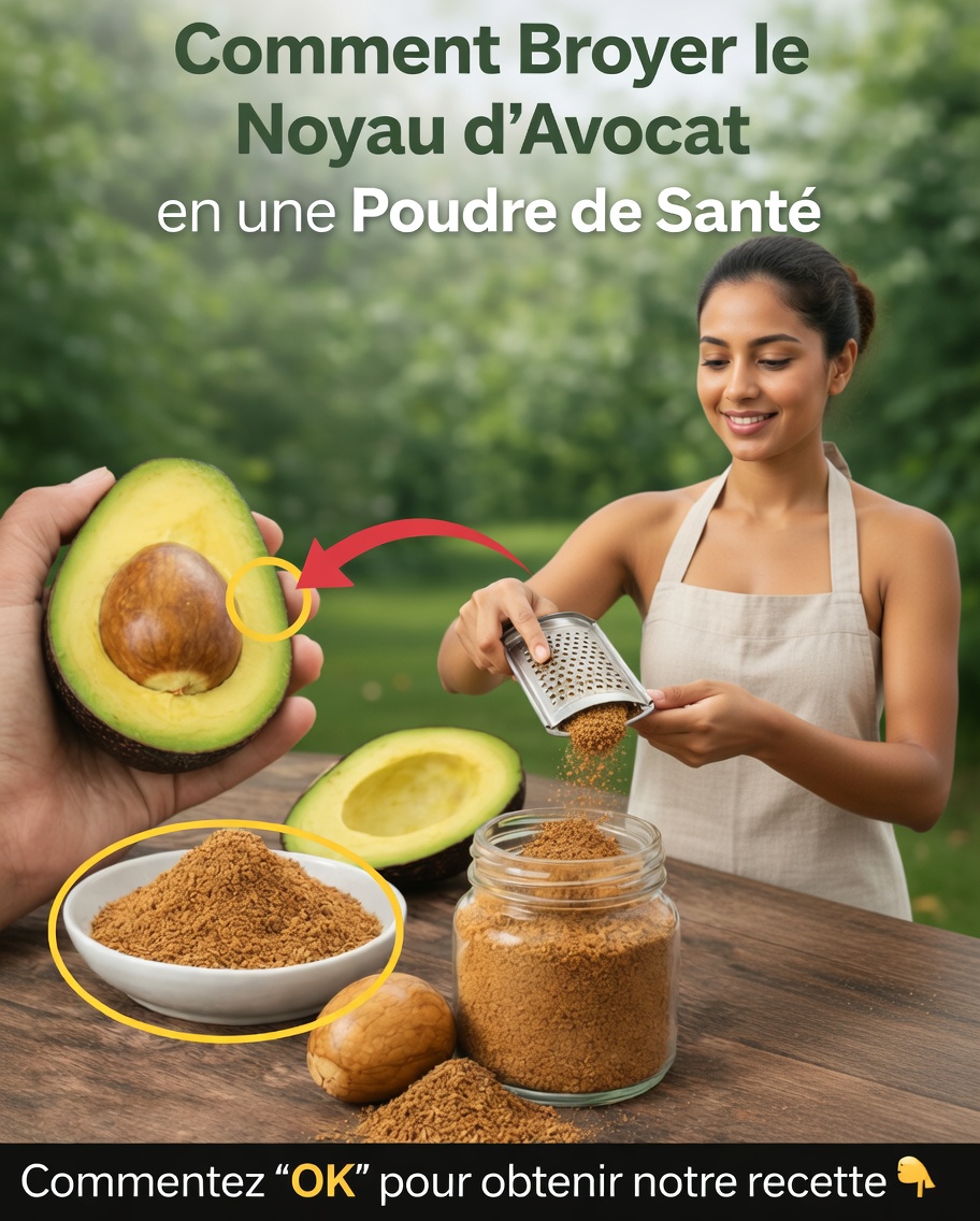 Ne jetez pas ce noyau d’avocat : conseils pratiques, éclairages nutritionnels et utilisations astucieuses à connaître