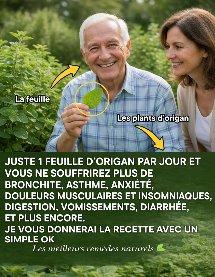 Une feuille par jour : le pouvoir caché de l’origan Orejon
